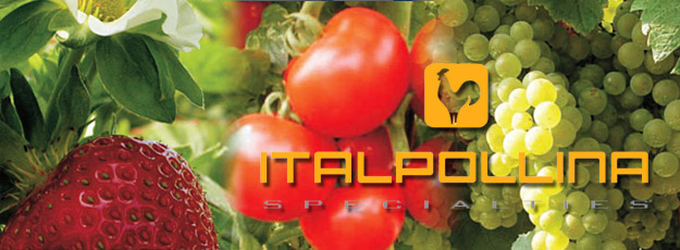 Italpollina SPC