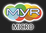 Myrmicro