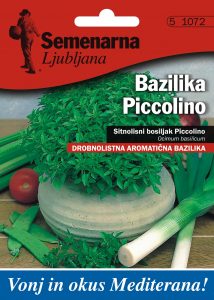 bazilika