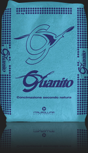 guanito