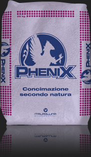 phenix