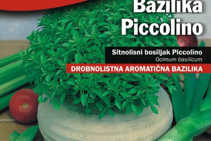 bazilika