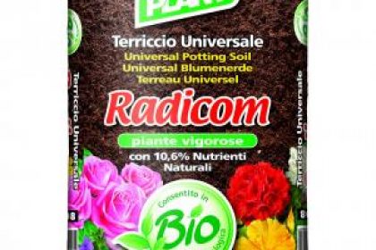 SetHeight440-108-RADICOM