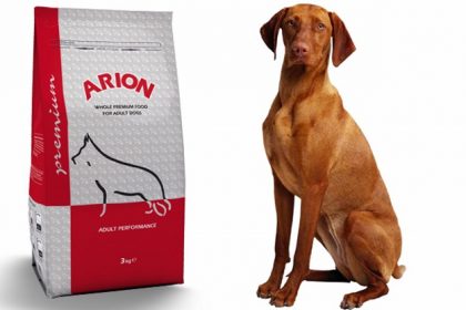 arion adult performance 2