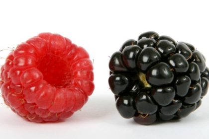 kupina malina