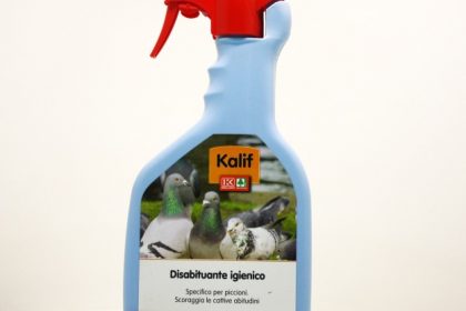 kalif_a