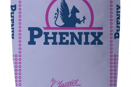 phenix novi