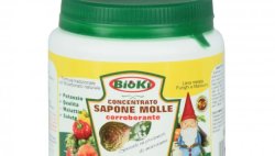 sapone B